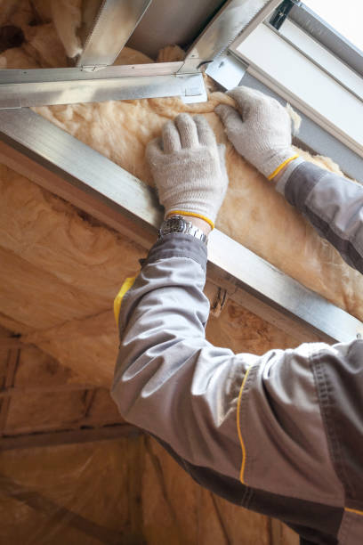 Best Geographic-Specific Insulation Services in Saco, ME