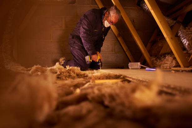 Best Eco-Friendly Insulation in Saco, ME